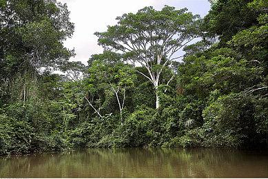 《死亡搁浅2》TGS 2024新视频 将是比1代更怪异的游戏